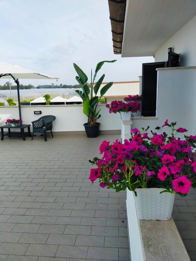 Gioema Borgo Vodice