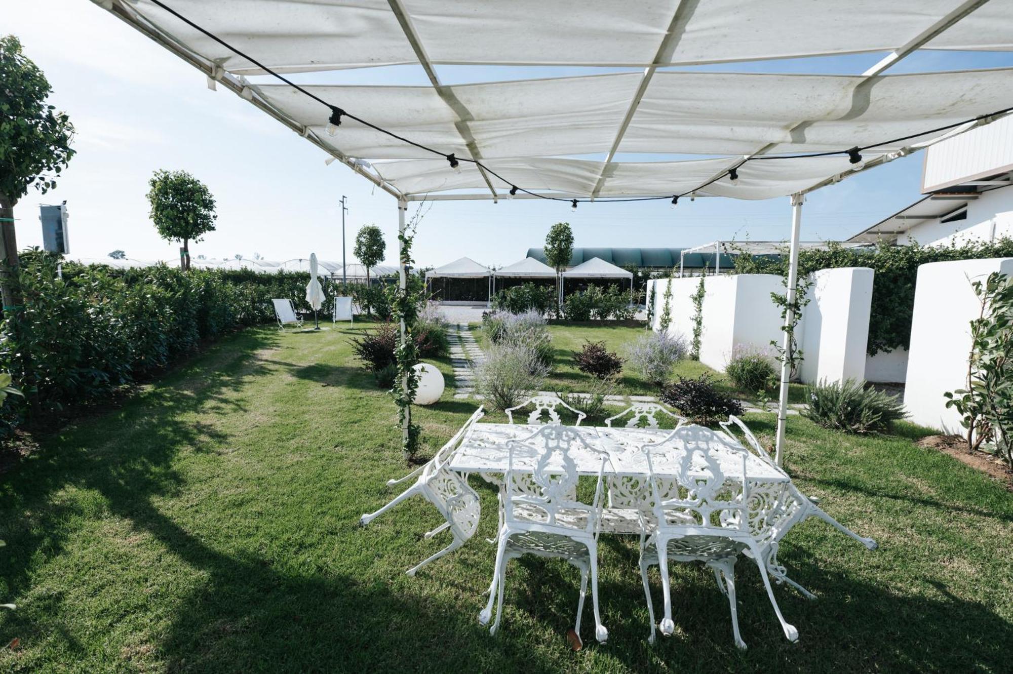 Bed & Breakfast Gioema *