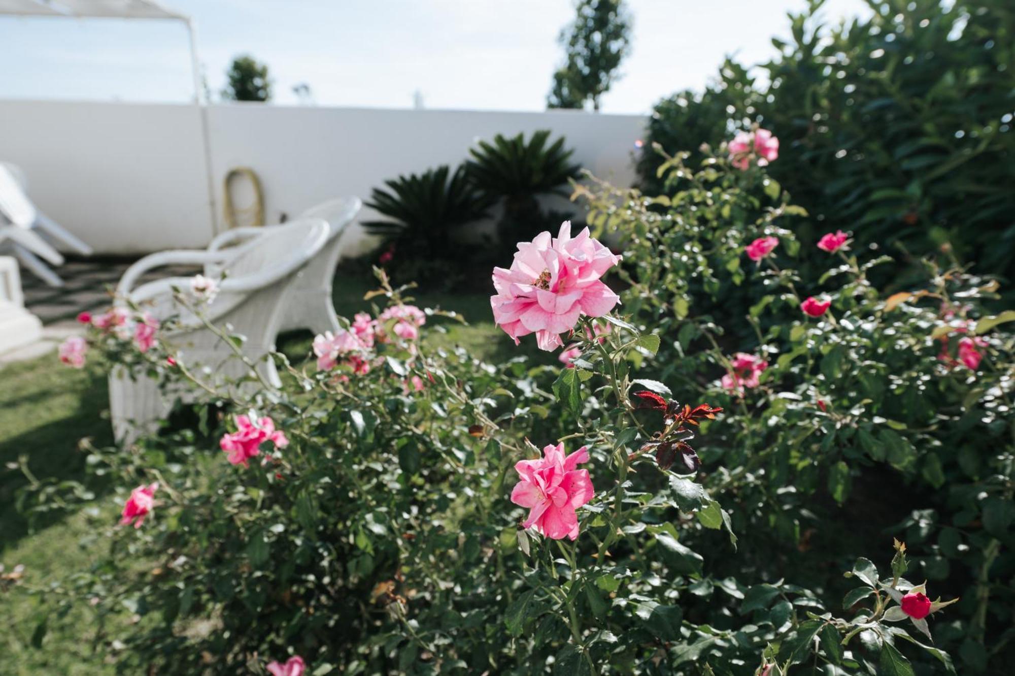 Gioema Bed & Breakfast